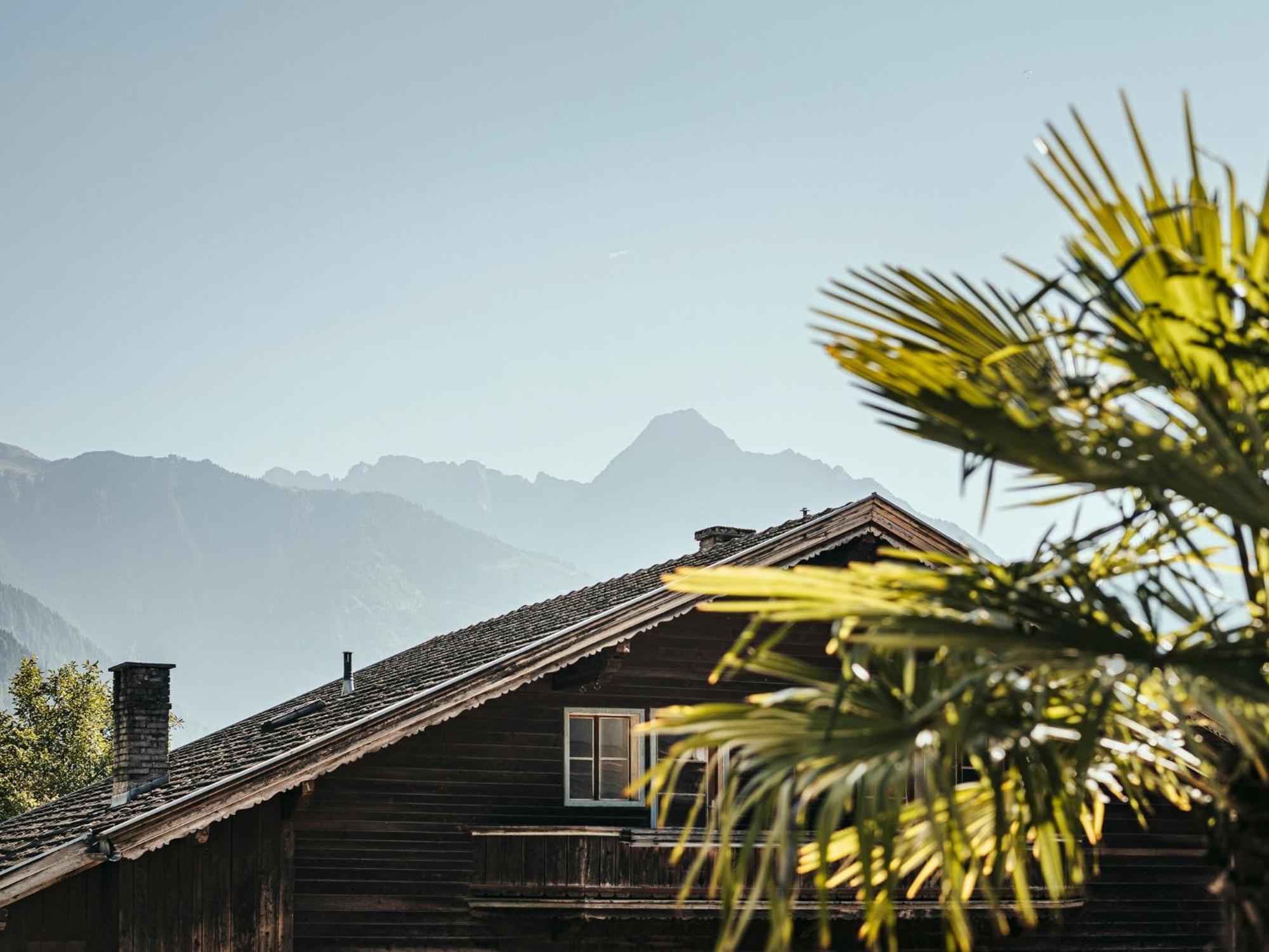 Leitnerhof Otel Ramsau im Zillertal Dış mekan fotoğraf