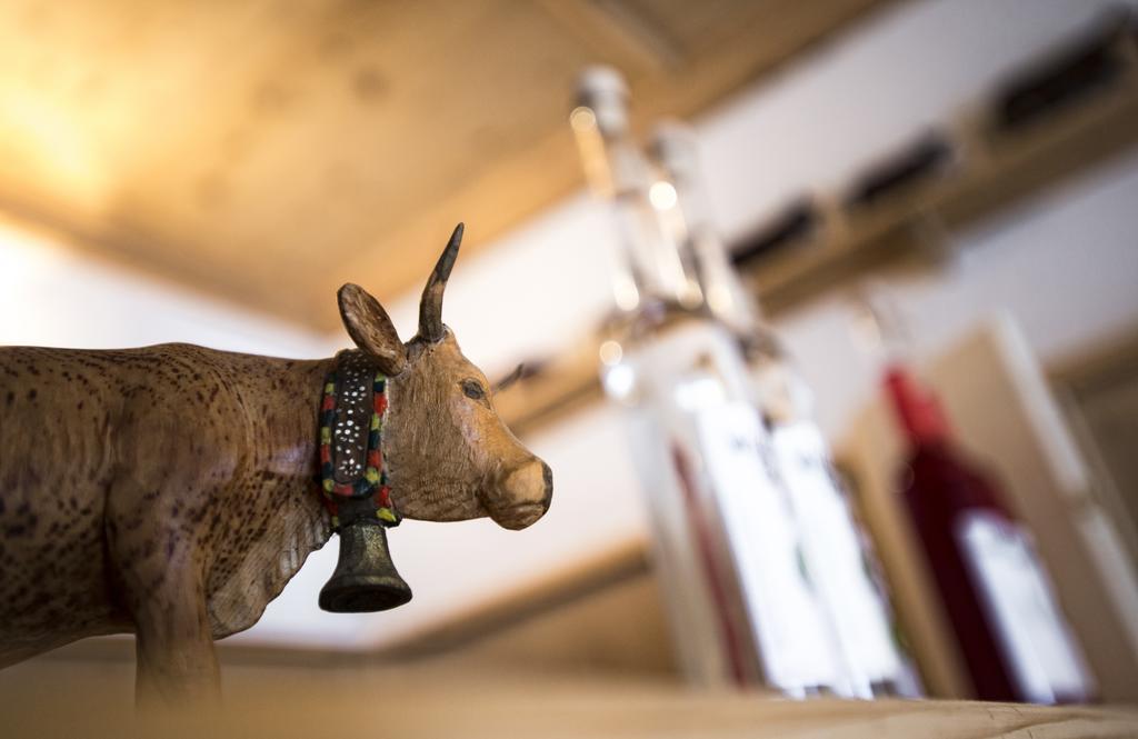 Leitnerhof Otel Ramsau im Zillertal Dış mekan fotoğraf